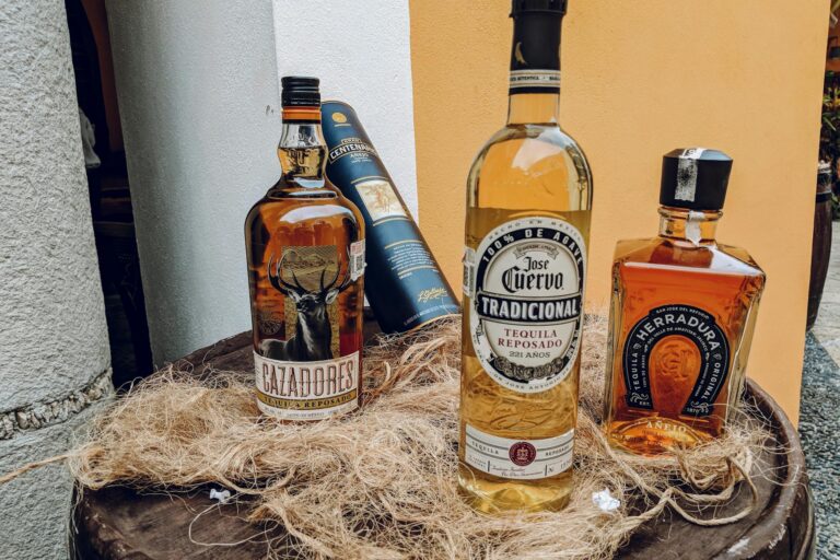 Dónde puedo comprar tequila: Conoce todas las opciones